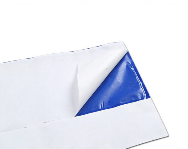 EMS packing list envelope