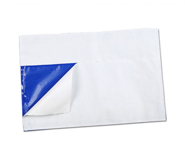 EMS packing list envelope