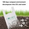 Compostable shopping bag