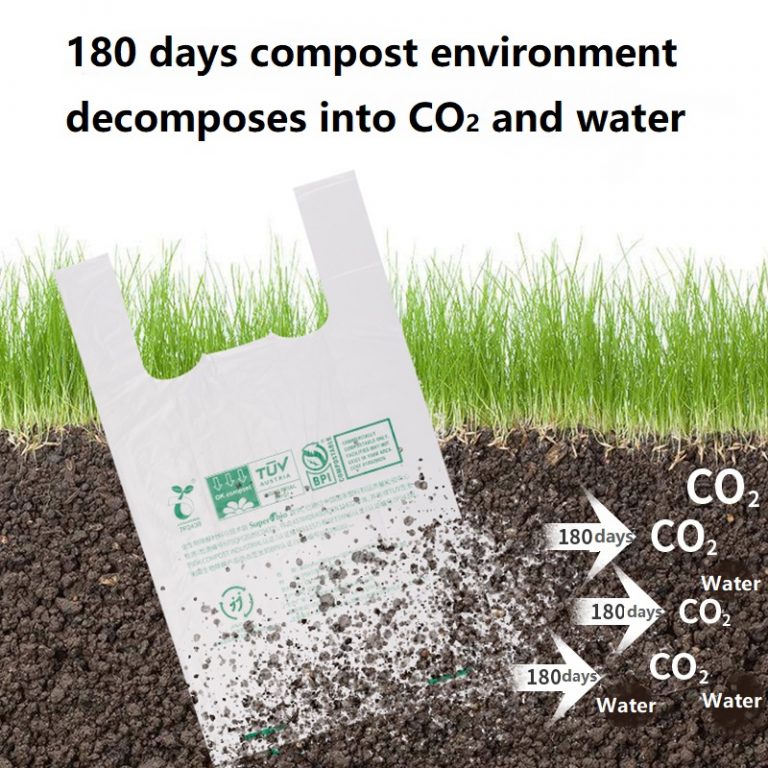 Compostable shopping bag
