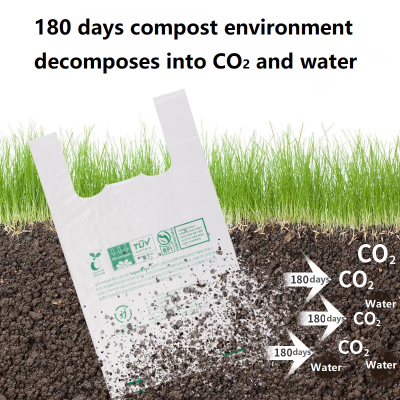 Compostable shopping bag